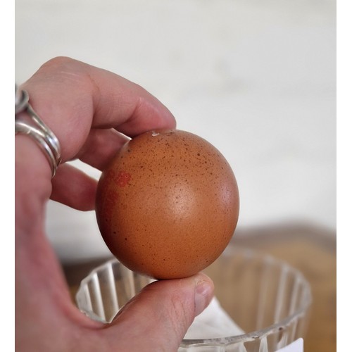 357 - An almost perfectly spherical chicken egg, purchased from a local supermarket. Round eggs are though... 