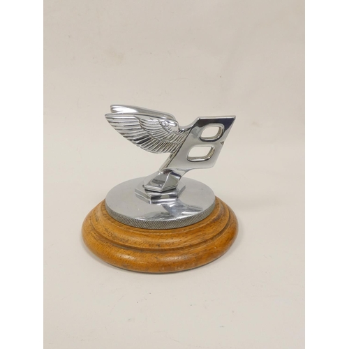 345 - Vintage c1930s Bentley chrome car mascot on wooden stand. Height 10.5cm