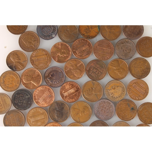 346 - UNITED STATES OF AMERICA USA Indian head and later cents 1884 onwards, some in ef plus condition. (q... 