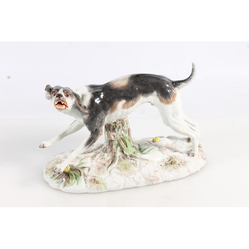 435 - Two 19th century Continental porcelain modesl of dogs, modelled bearing it teeth (af broken leg, the... 