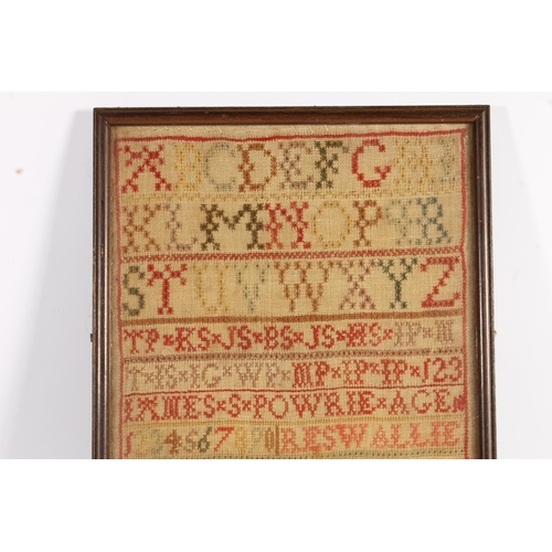 495 - Antique needlework sampler with alphabet, numbers, bird and tree motifs, executed by Agnes Powrie, 4... 