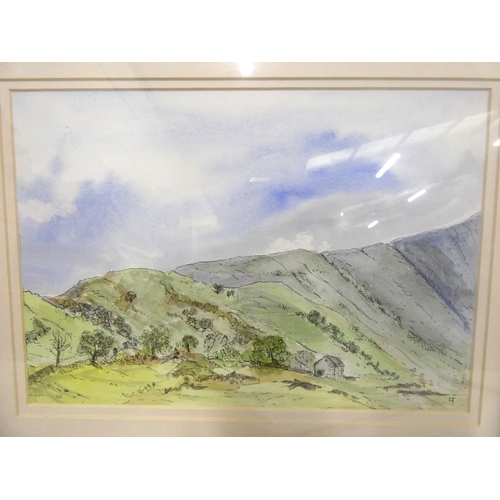 95 - Linda Thomson pen and wash of Dalehead.