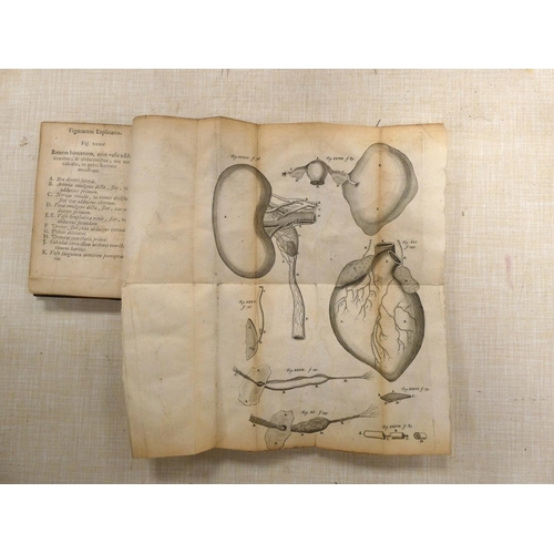 48 - NUCK ANTONIO.  Adenographia Curiosa et Uteri Foeminei Anatome Nova. Eng. title & 9 fld... 