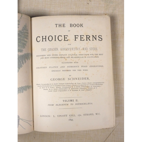 203 - SCHNEIDER GEORGE.  The Book of Choice Ferns. Vol. 2 only. Chromolitho plates & other i... 