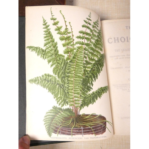 203 - SCHNEIDER GEORGE.  The Book of Choice Ferns. Vol. 2 only. Chromolitho plates & other i... 