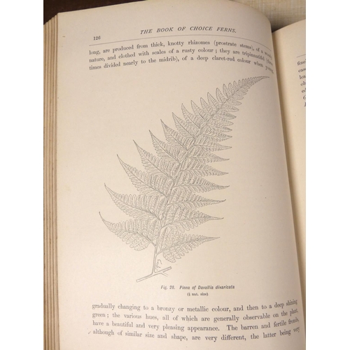 203 - SCHNEIDER GEORGE.  The Book of Choice Ferns. Vol. 2 only. Chromolitho plates & other i... 