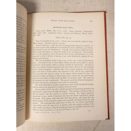 205 - SCHARFF R. F.  The Slugs of Ireland. 2 plates (one col.). Quarto red cloth from The Scient... 