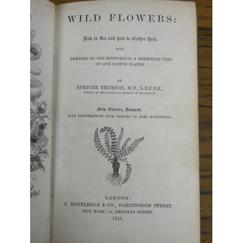 90 - PRATT ANNE.  Wild Flowers. 2 vols. Many col. plates. Small format. Half dark leather. 1898; also ano... 