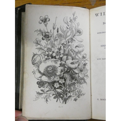 90 - PRATT ANNE.  Wild Flowers. 2 vols. Many col. plates. Small format. Half dark leather. 1898; also ano... 