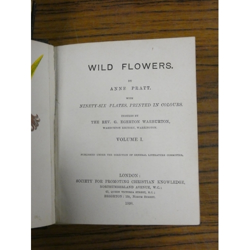 90 - PRATT ANNE.  Wild Flowers. 2 vols. Many col. plates. Small format. Half dark leather. 1898; also ano... 