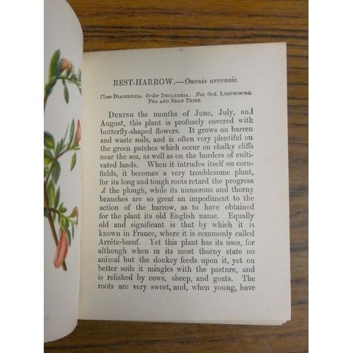 90 - PRATT ANNE.  Wild Flowers. 2 vols. Many col. plates. Small format. Half dark leather. 1898; also ano... 