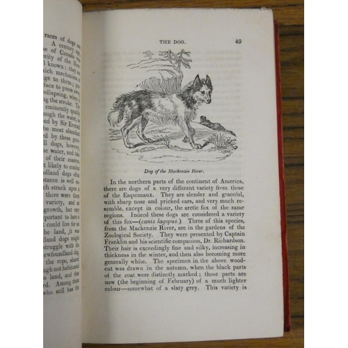 91 - NATTALI M. A. (Pubs).  The Menageries, 3 vols. re. quadrupeds. Many eng. text illus. 12mo. Nice orig... 