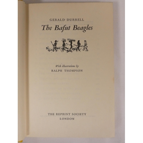 74 - DURRELL GERALD.  The Bafut Beagles. Signed by the author to the front free endpaper (adhesions to th... 