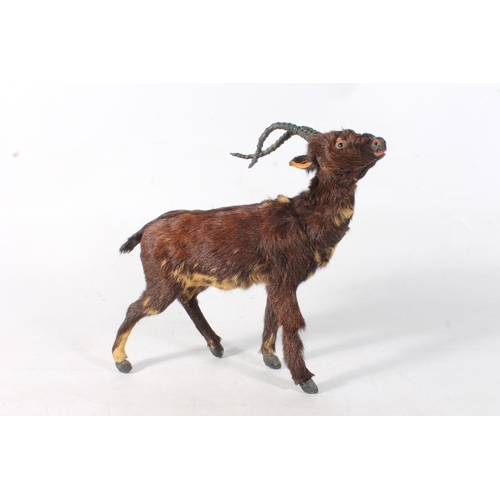 28 - Small taxidermy style model of an African antelope, H32cm.