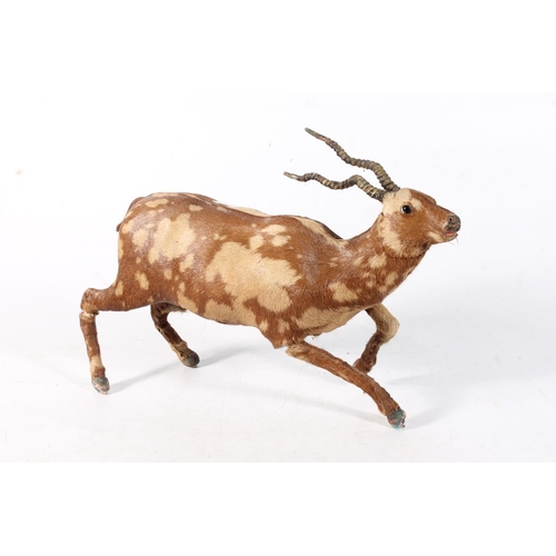 34 - Small taxidermy style model of an African antelope, H23cm