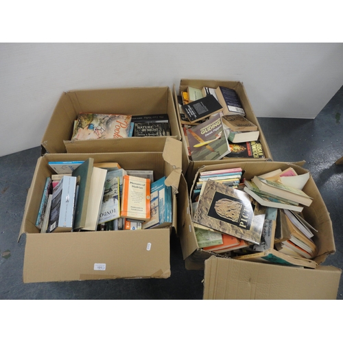 101 - Four cartons containing miscellaneous general books to include children's interest, CS Lewis, Mary N... 