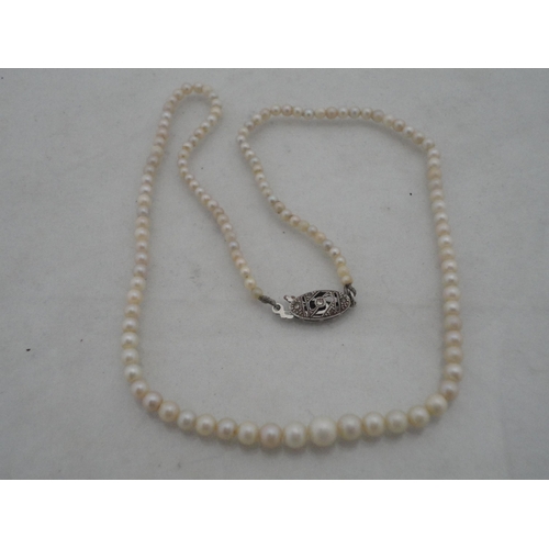 209 - String of synthetic pearls with 9ct gold clasp and a similar necklace.&nbsp; (2)
