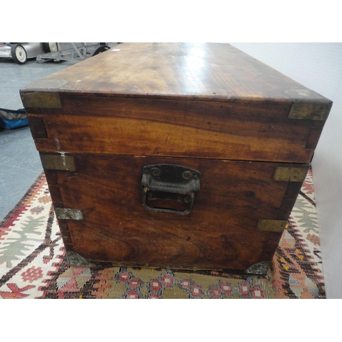 295 - Early 20th century camphorwood and mahogany brass-bound trunk.