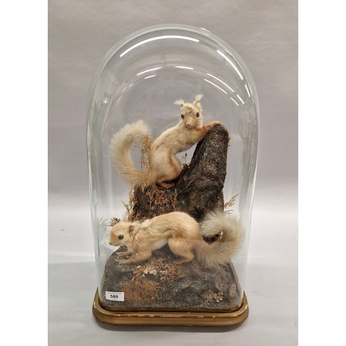 580 - Taxidermy group of two squirrels on naturalistic base 