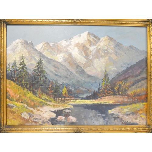 349 - 20th Century School.Mountainous Alpine scene with river. Oil on canvas.Bears signature lower ri... 