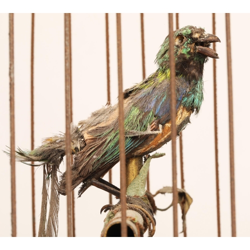 190 - A 19th century mechanical singing bird in a cage, mounted on a gilded base, 55cm high.