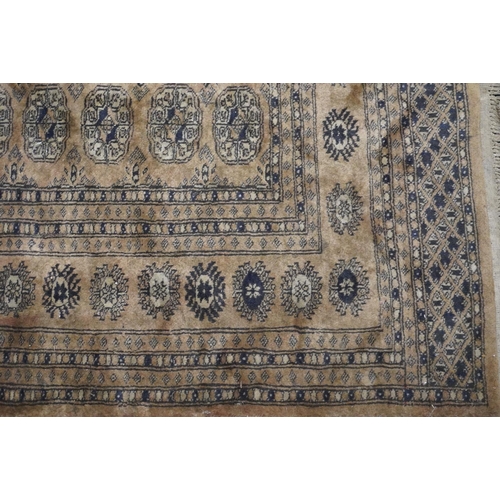 804 - Bokhara style rug. The central field decorated with three rows of twelve gul, 178cm x 130cm.