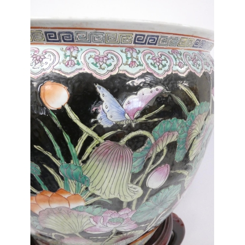 222 - Early 20th century Chinese famille noir fish bowl, the interior painted with carp and pond foliage, ... 