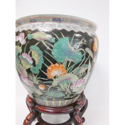 222 - Early 20th century Chinese famille noir fish bowl, the interior painted with carp and pond foliage, ... 