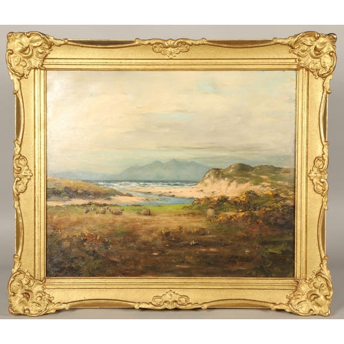 362 - John McNicol (Scottish 1862-1940)'Coastal study with sheep in the foreground'Gilt framed oil on canv... 