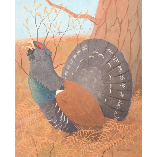 340 - RALSTON GUDGEON RSW (Scottish, 1910-1984) *ARR* Capercaillie Watercolour, signed lower right, 61cm x... 