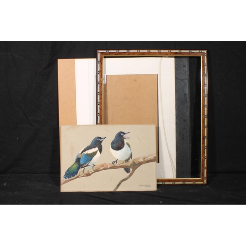 341 - RALSTON GUDGEON RSW (Scottish, 1910-1984) *ARR* Young Magpies Watercolour, signed lower right, 26cm ... 