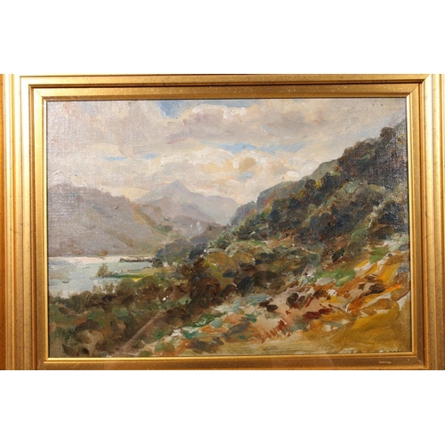 387 - ROBERT DICKIE CAIRNS (Scottish, 1866-1944) Three Scottish landscapes Oil paintings, unsigned, 24cm x... 