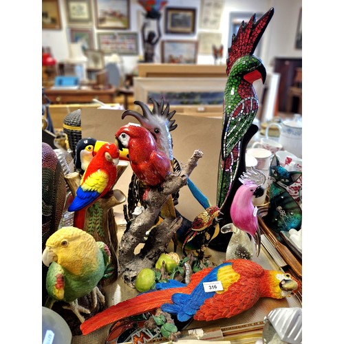 316 - Collection of exotic bird models to include parrots, toucans etc.