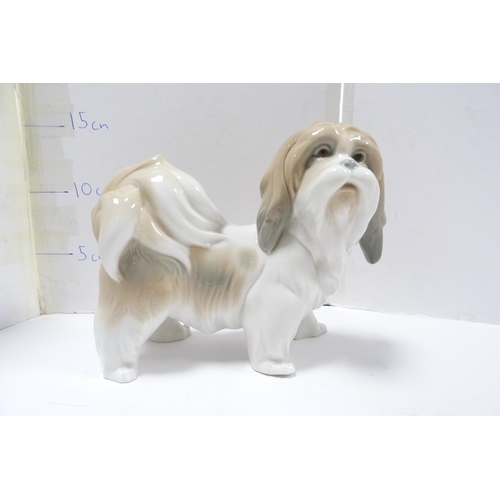 264 - Lladro figure modelled as a Lhasa Apso and a Lladro figure of a puppy.  (2)