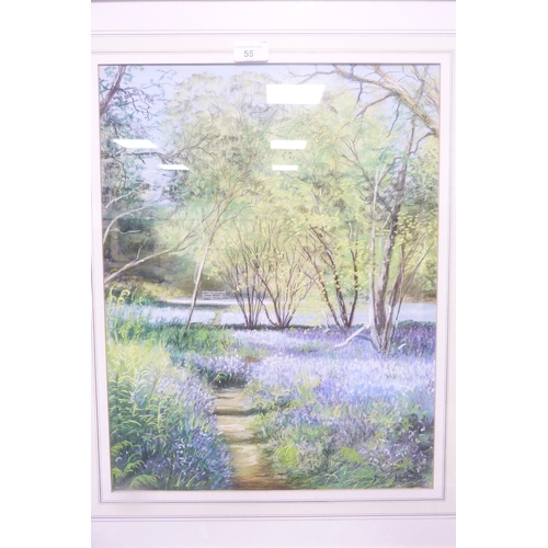 55 - Jane B GibsonBluebells, GallowaySigned and dated '95, pastel.