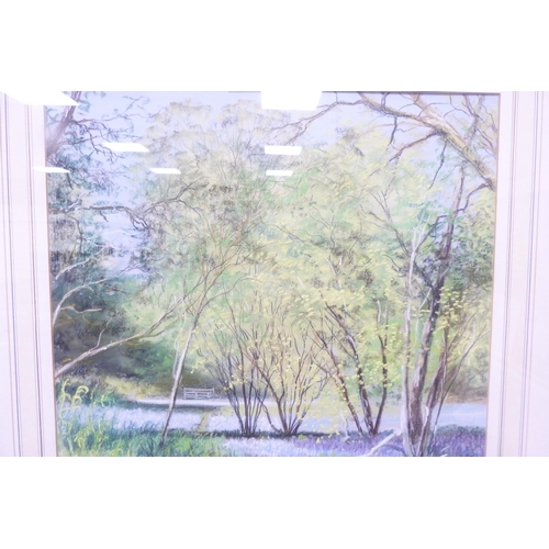 55 - Jane B GibsonBluebells, GallowaySigned and dated '95, pastel.