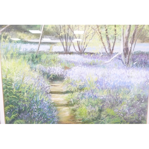 55 - Jane B GibsonBluebells, GallowaySigned and dated '95, pastel.