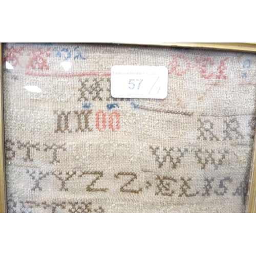 57 - 19th century sampler (worn) in a rosewood frame, and another needlepoint picture.  (2)