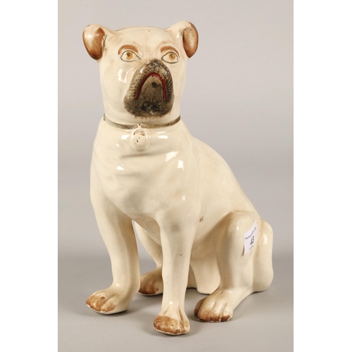 43 - Staffordshire pottery model of a Pug dog