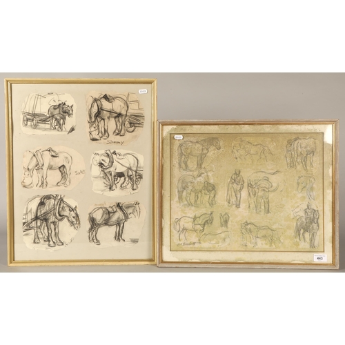 443 - Nancy Brackett (Scottish 20th Century), framed set of six charcoal drawings of horses, and another s... 