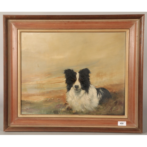 450 - Border Collie Framed oil painting on board39cm x 49.5cm,Indistinctly signed lower right... 