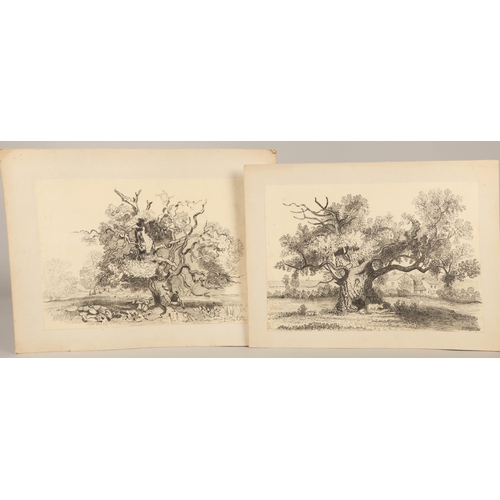 629 - E. L. Bowman, Large quantity of pencil sketches, some dated 19th Century