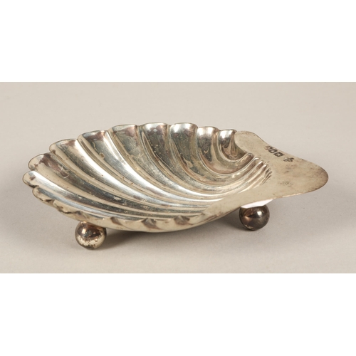 210 - Silver shell dish, London 1900, 64g, and a white metal sugar sifter