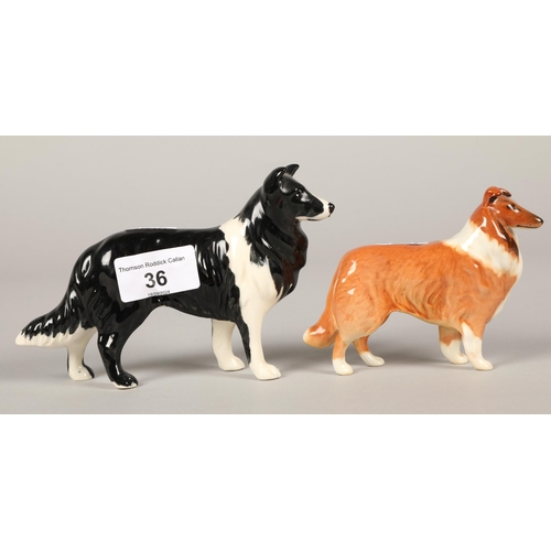 36 - Beswick Collie 'Lochinvar of Ladypark' and a black and white collie (2)