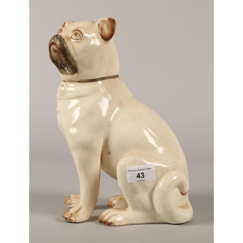 43 - Staffordshire pottery model of a Pug dog