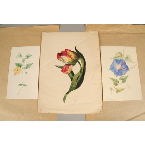 630 - Large quantity of unframed watercolour paintings and a print