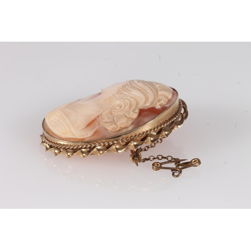 248 - Mid 20th century shell carved cameo on a 9ct gold oval rope twist frame, 4.5cm high.