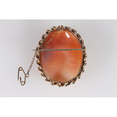 248 - Mid 20th century shell carved cameo on a 9ct gold oval rope twist frame, 4.5cm high.