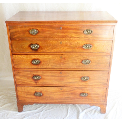 648 - Antique mahogany secretaire chest of drawers, the rectangular top with reeded edge above four long d... 