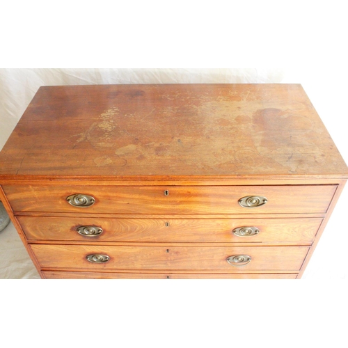 648 - Antique mahogany secretaire chest of drawers, the rectangular top with reeded edge above four long d... 